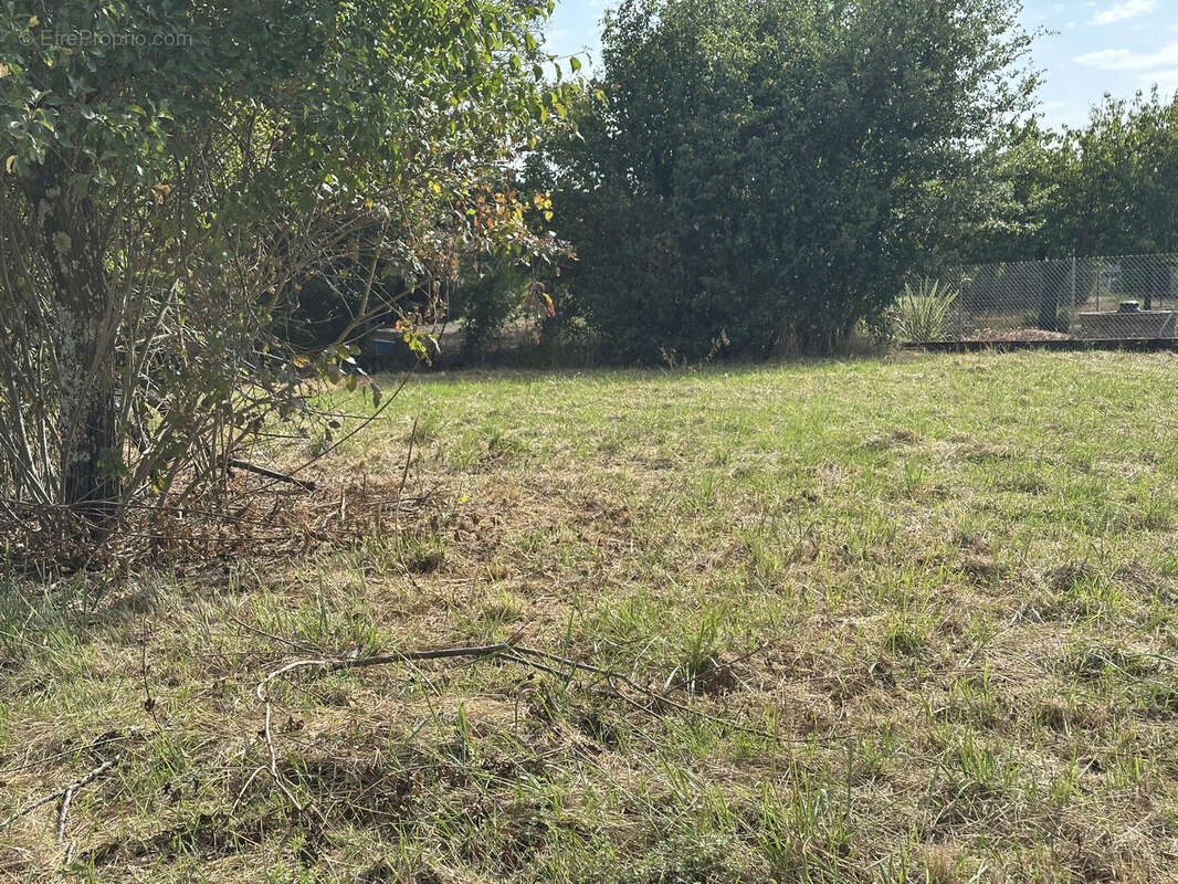 Terrain à L'ISLE-EN-DODON