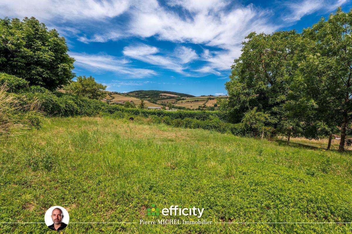 Terrain 548 m² à Brullioles  - photo 7