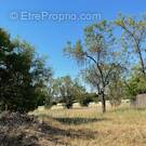 Terrain à SAINT-QUENTIN-LA-POTERIE