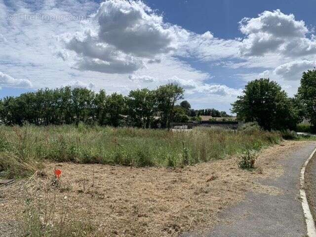 Terrain à SAINTE-SOULLE