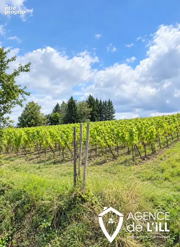 Photo Terrain à Blienschwiller au prix de 187 000€