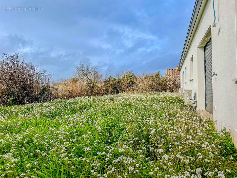Maison à MARSEILLAN