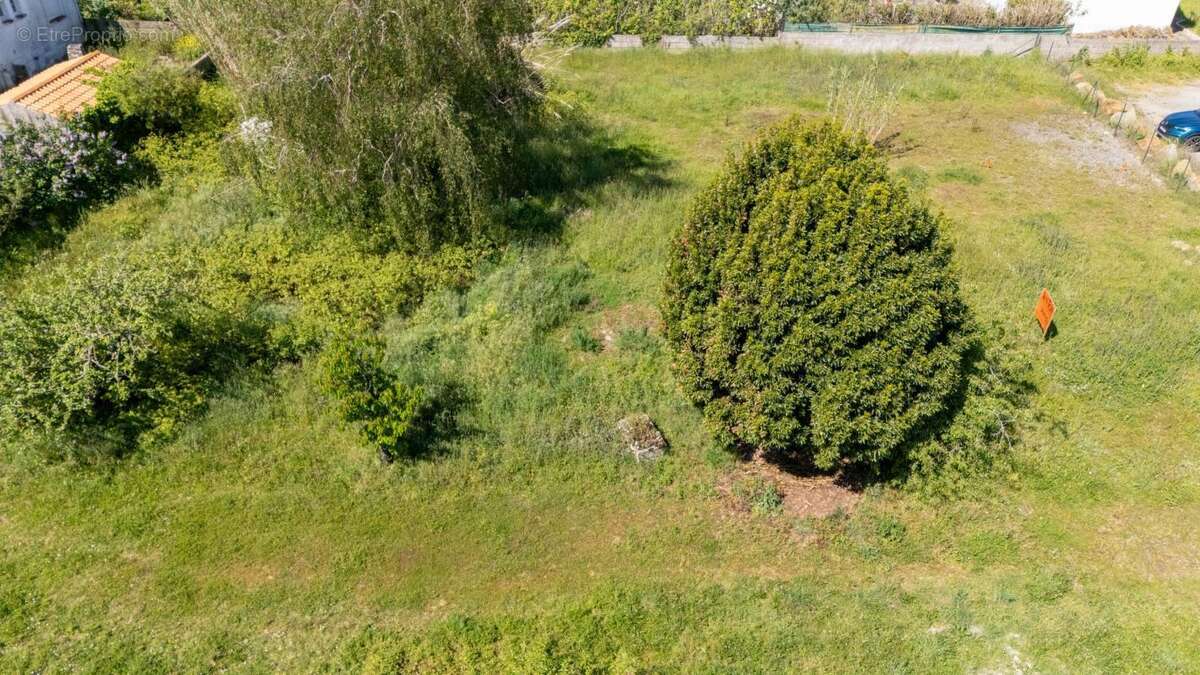 Terrain à LA GUERINIERE