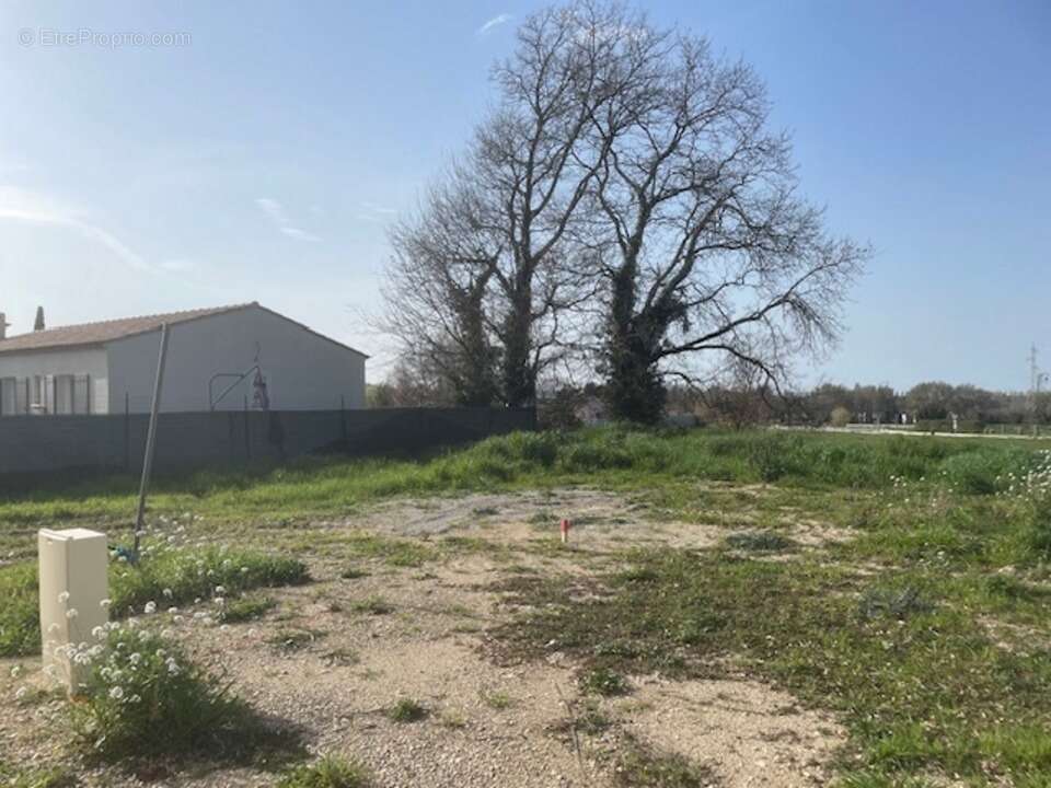 Terrain 397 m² à Alleins  - photo 2