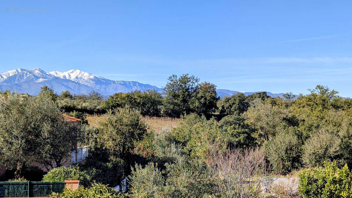 Maison à MONTESQUIEU-DES-ALBERES