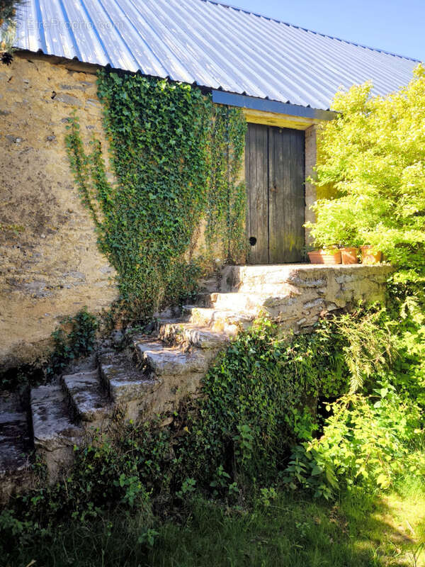 Maison à CRISSE