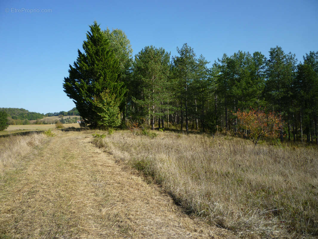Terrain de loisirs - photo 9
