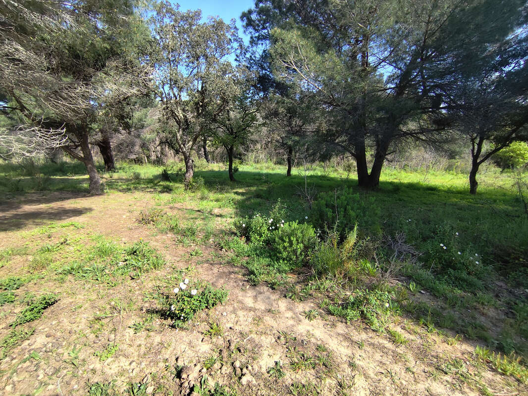 Terrain à ARGELES-SUR-MER