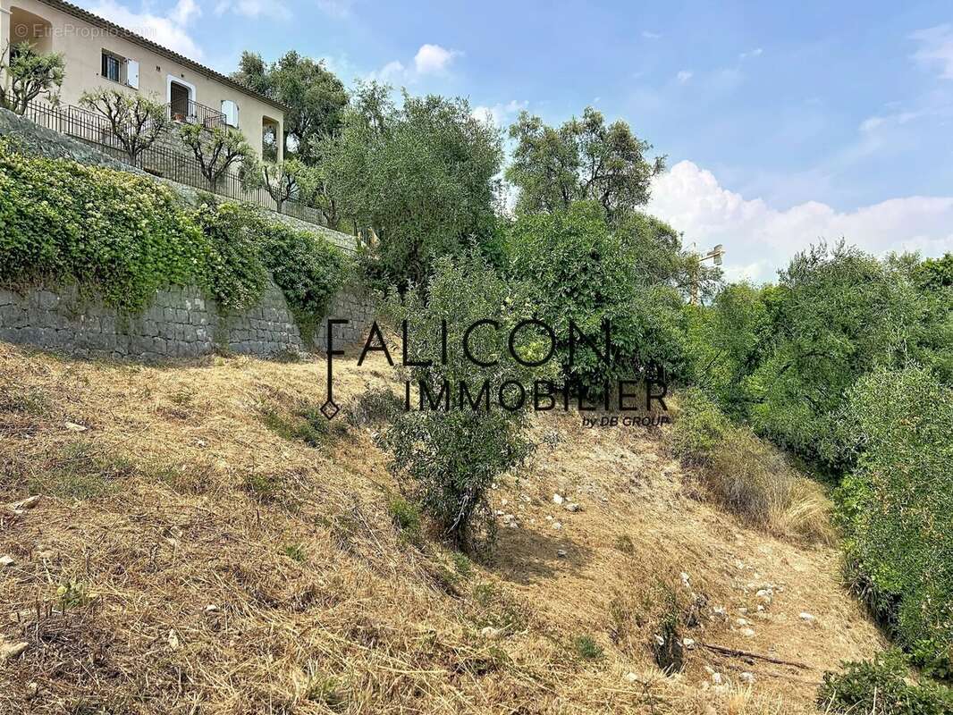 Falicon – Terrain constructible de 1 911 m² avec permis purgé pour une villa contemporaine - photo 3