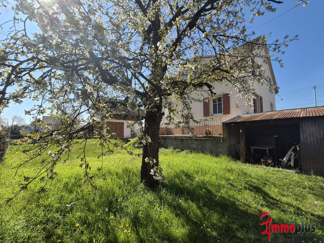 Maison à KEMBS