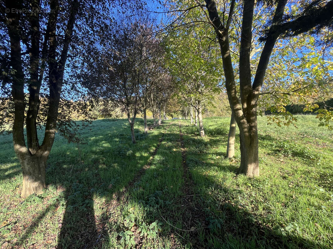 Terrain à AVOISE