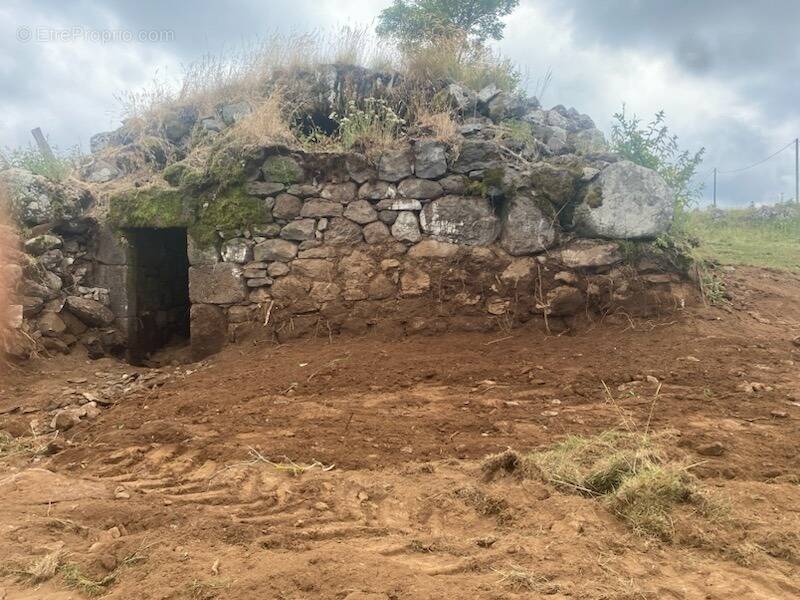 Maison à SAINT-VINCENT-DE-SALERS