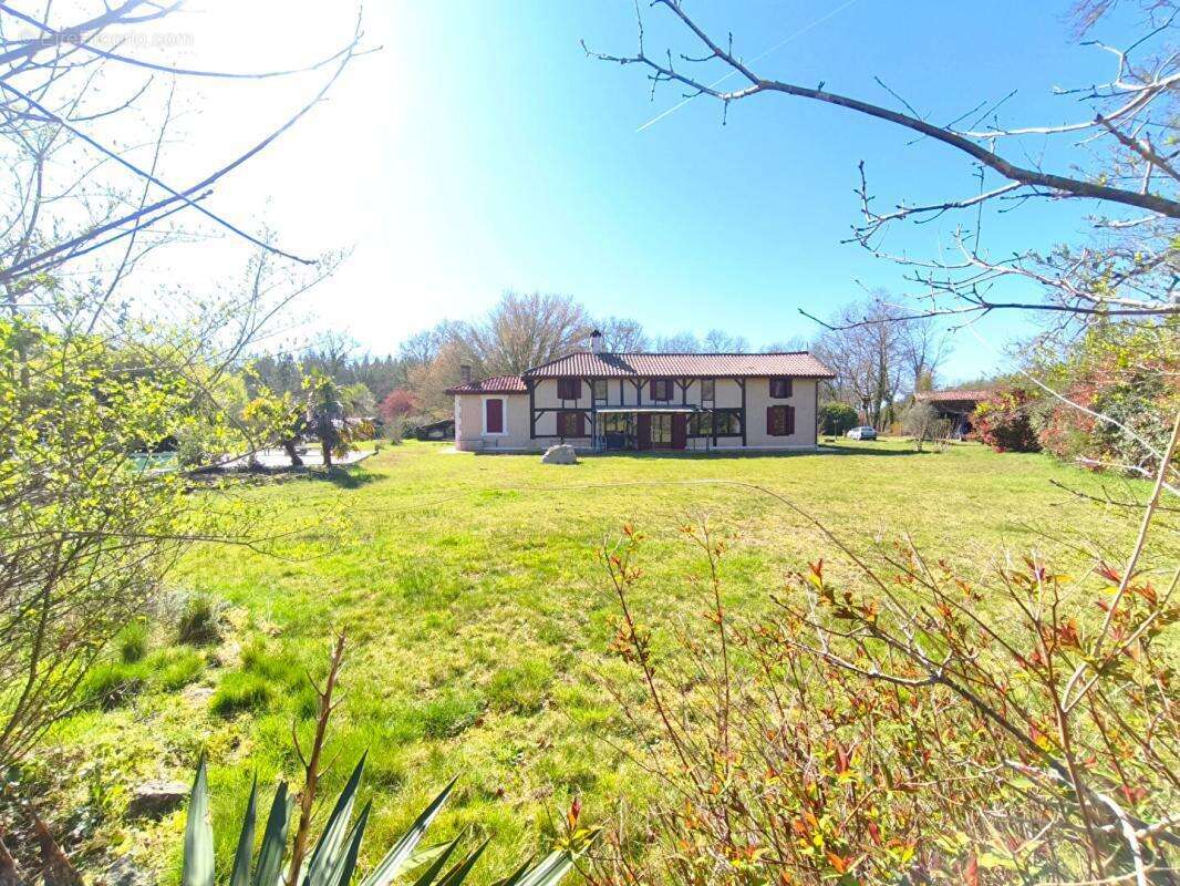 Propriété 200 m2 avec étang, piscine sur 5 hectares - photo 13