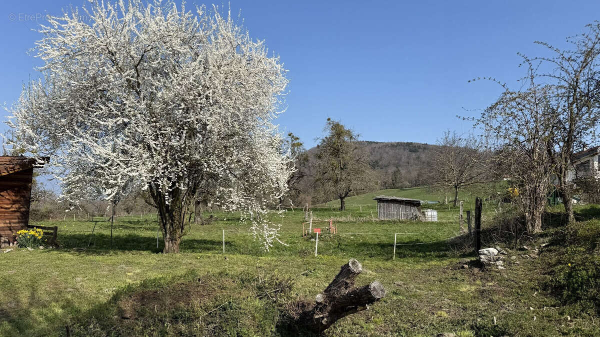 Terrain à PERRIGNIER