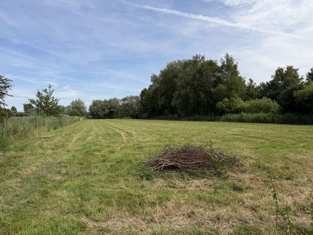 2 maisons sur plus d'1 hectare - photo 5