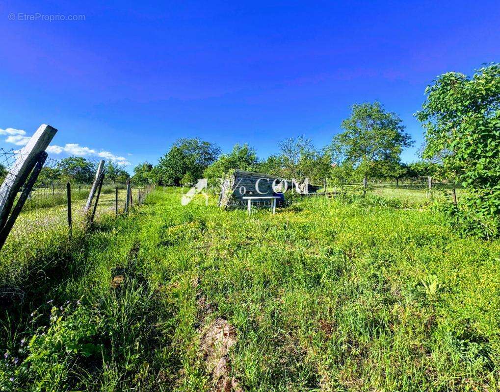 Maison à DOSSENHEIM-SUR-ZINSEL