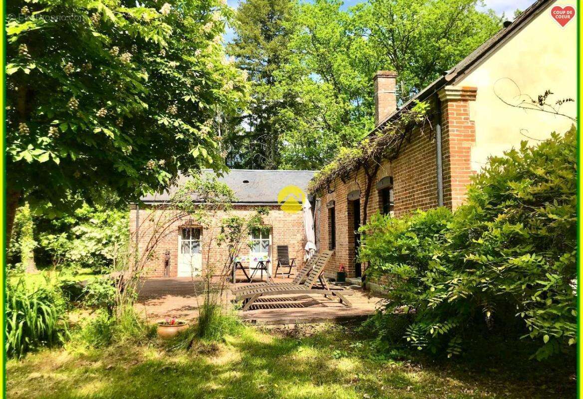 Maison Solognotte Terrain 6345m² - photo 16