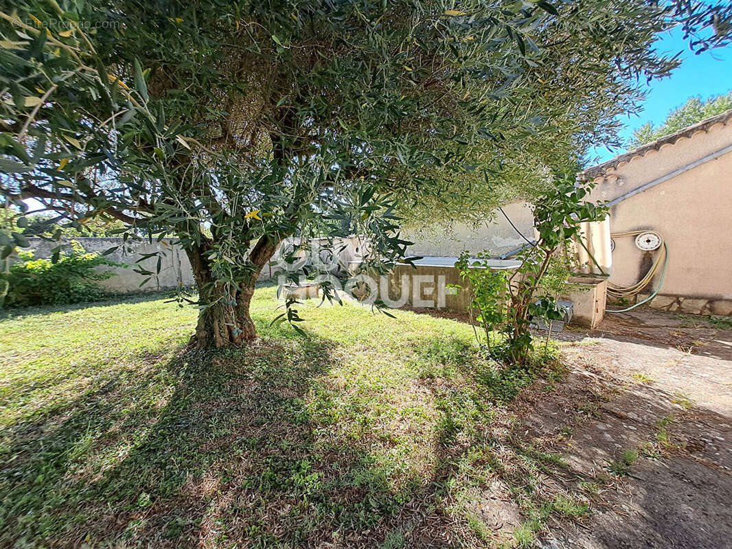 Maison à vendre à Laudun l'Ardoise - 4 pièces avec beau terrain - photo 6