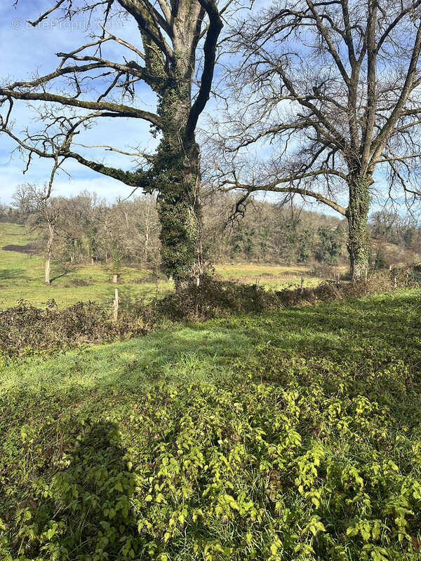 Terrain à LIVINHAC-LE-HAUT