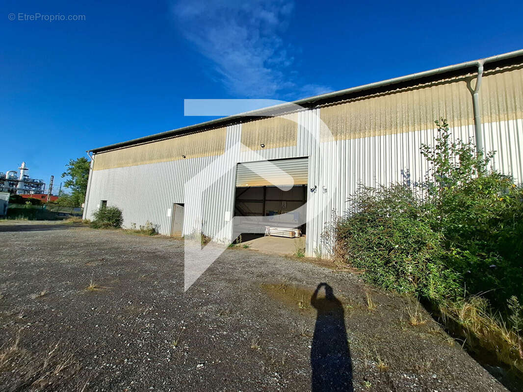 Hangar industriel LACQ 880 m² - photo 5