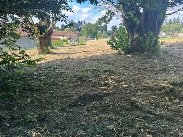 Terrain à PAJAY