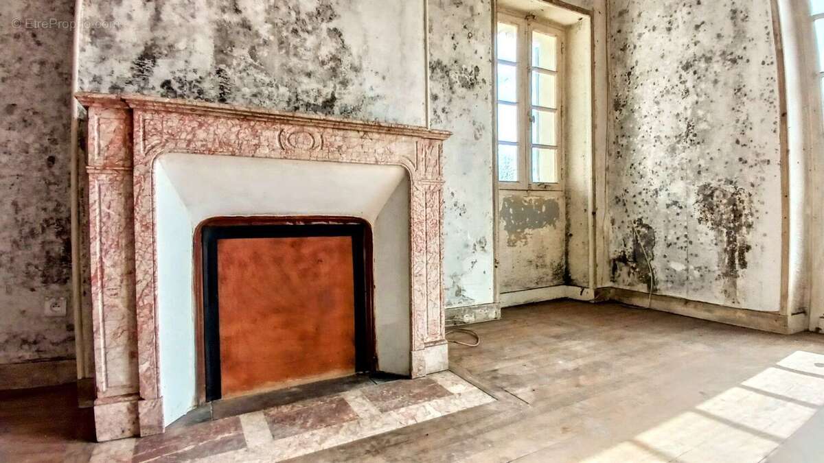 Villa Plaisance et sa dépendance, un bijou d'histoire - photo 10