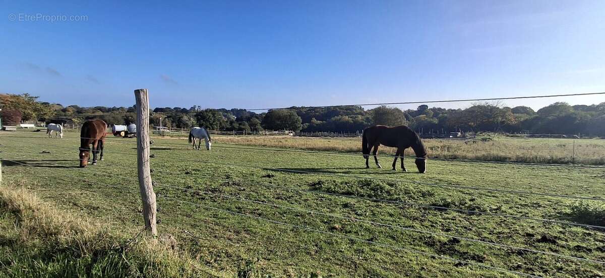 Appartement à CANCALE