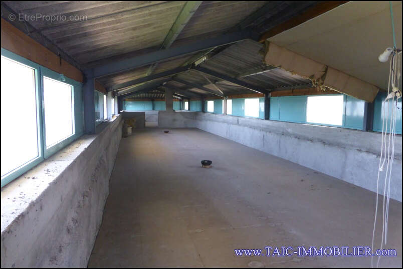 Maison à CORDES-SUR-CIEL