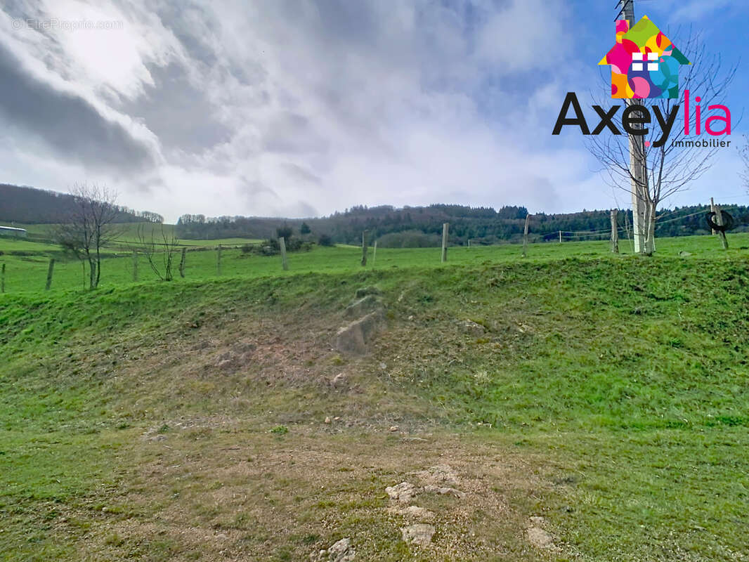 Maison à SAINT-JEAN-SAINT-MAURICE-SUR-LOIRE