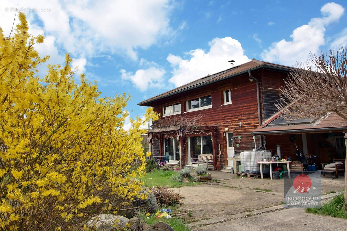 Maison à MASSONGY