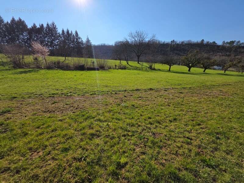 Terrain à vendre de 610,00 m² viabilisé COURBOUZON  (39) - photo 3