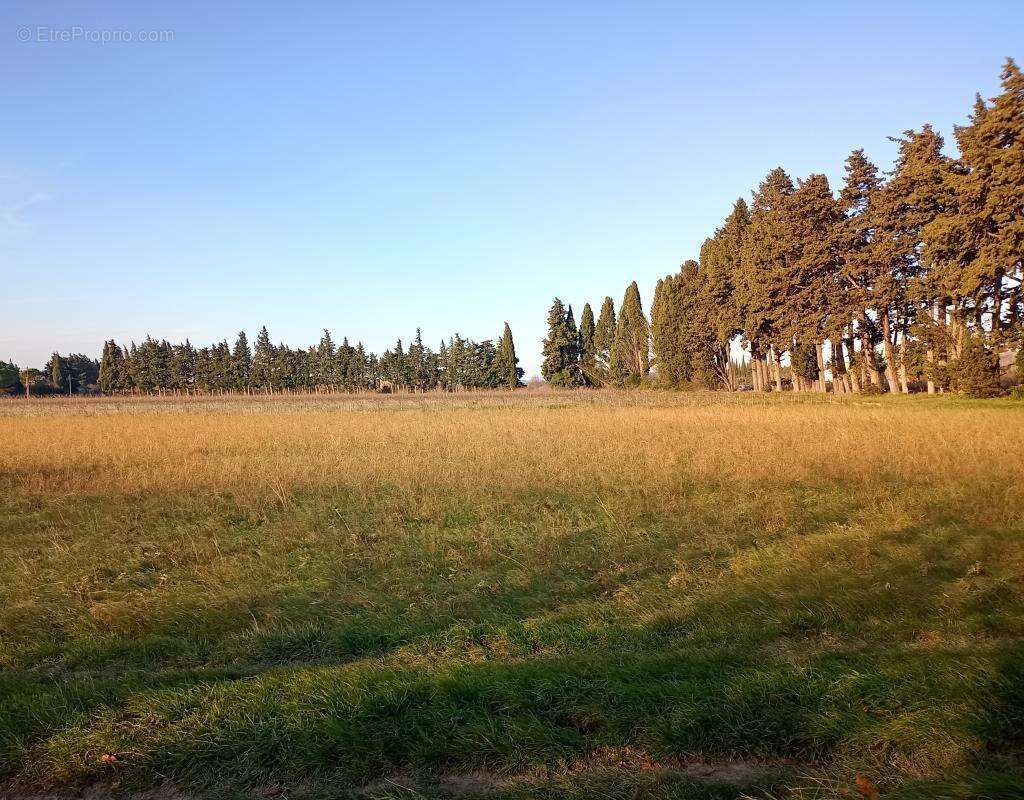 Maison à CAMARET-SUR-AIGUES