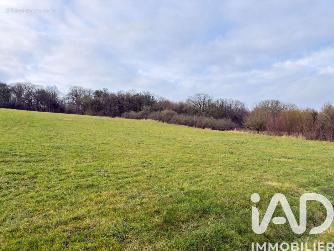 Photo 5 - Terrain à SOULIERES