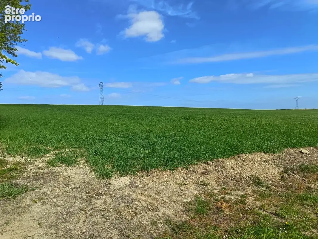 Terrain à CIRE-D'AUNIS