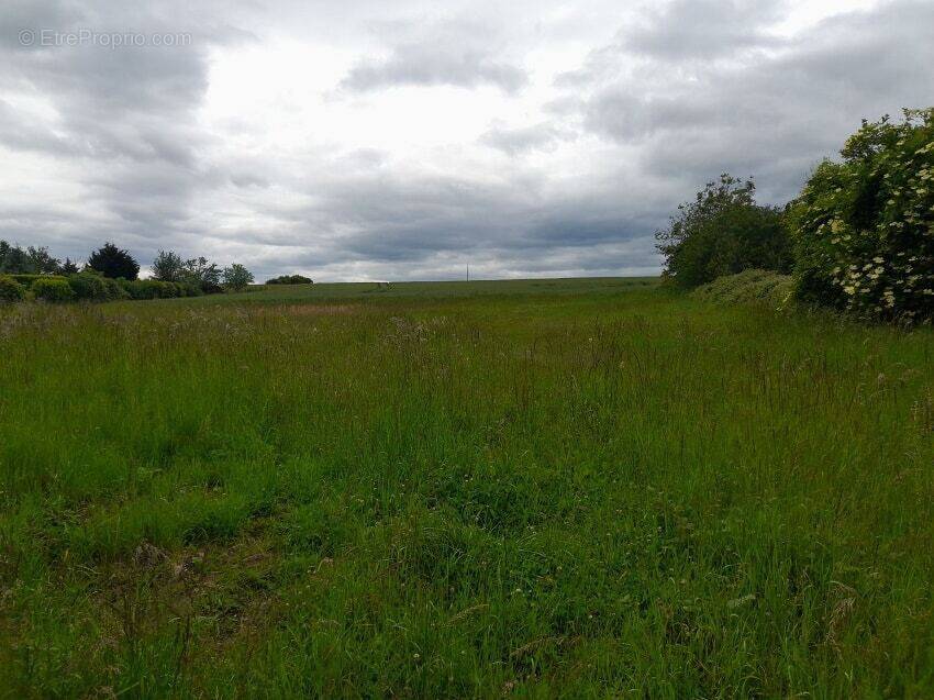 Terrain à FLEURE
