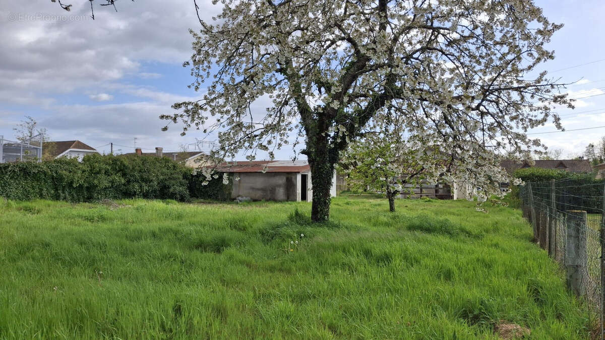 Terrain à AMBARES-ET-LAGRAVE