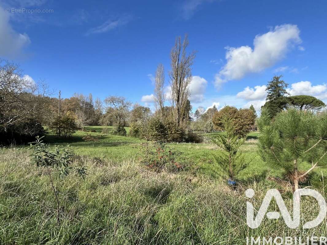 Photo 8 - Terrain à EAUZE