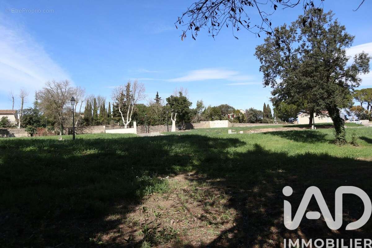 Photo 5 - Terrain à ESCALES