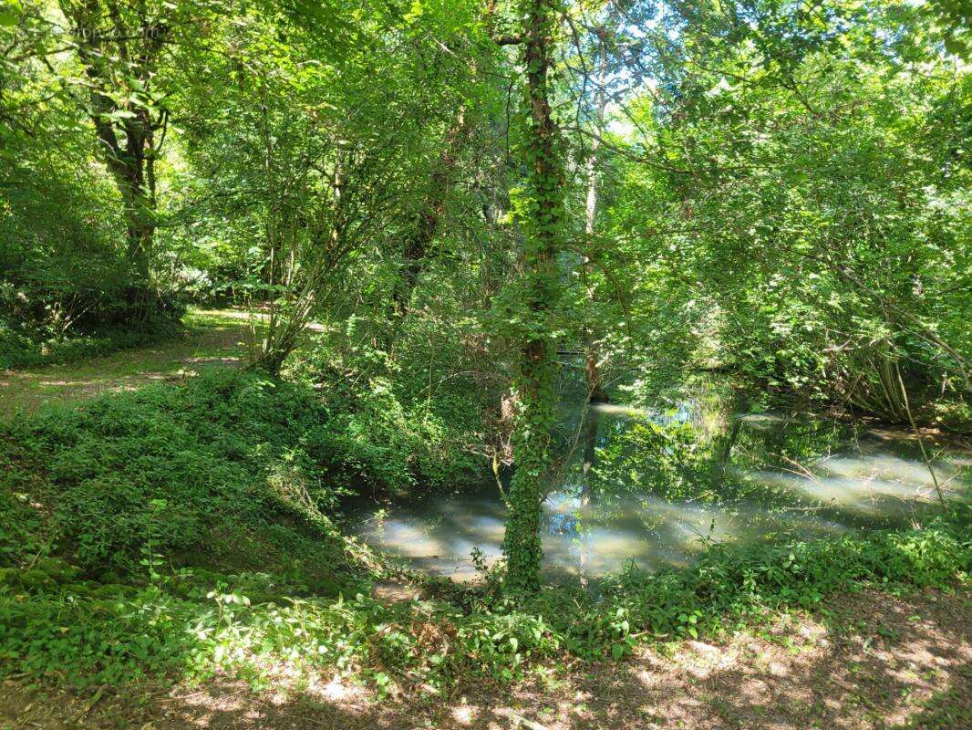 Nature préservée, authenticité, prairies, lac, bois, logements indépendants, une perle rare! - photo 10
