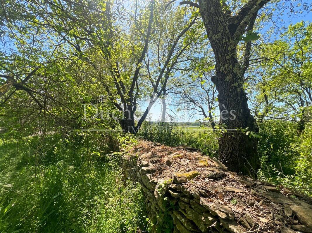 Photo 1 - Terrain à UZES