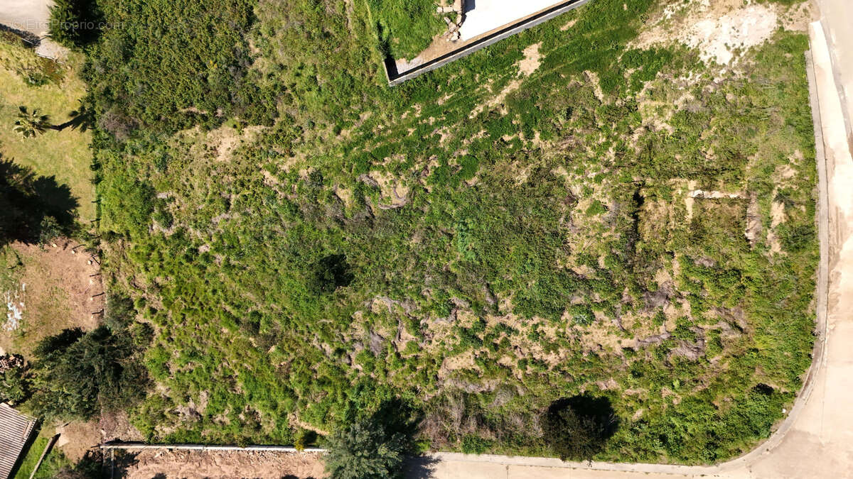 Terrain à CALCATOGGIO