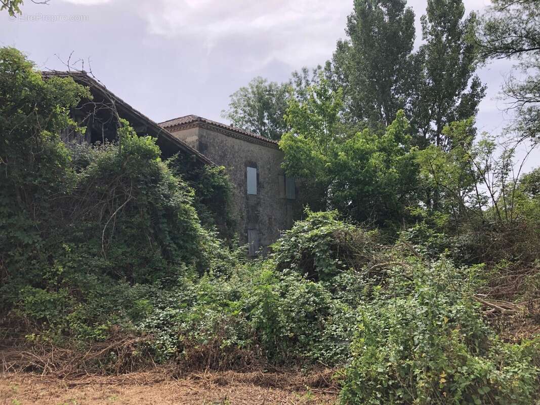 Maison 90 m² à Verteuil-D'agenais  - photo 9