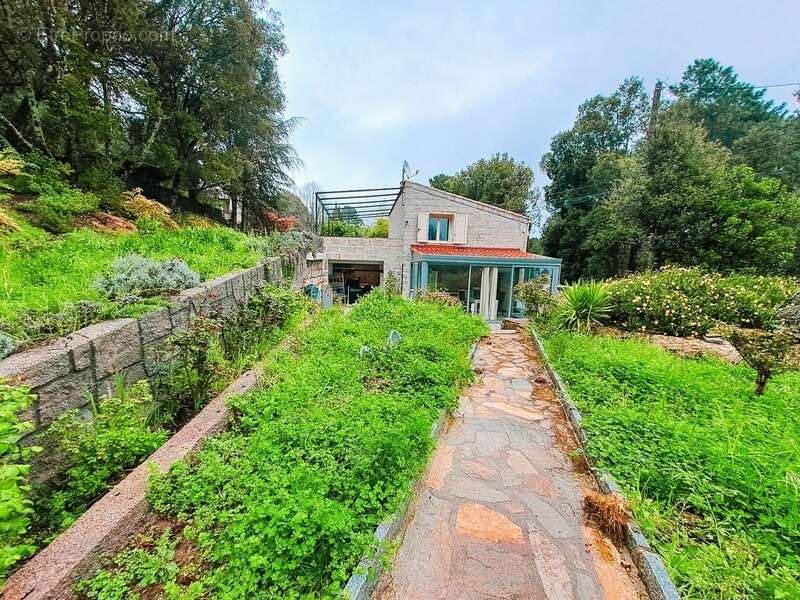 À vendre : EXCEPTIONNEL! Maison traditionnelle Corse en pierres de taille rénovée à SAN GAVINO DI CARBINI VILLAGE (20) - photo 10