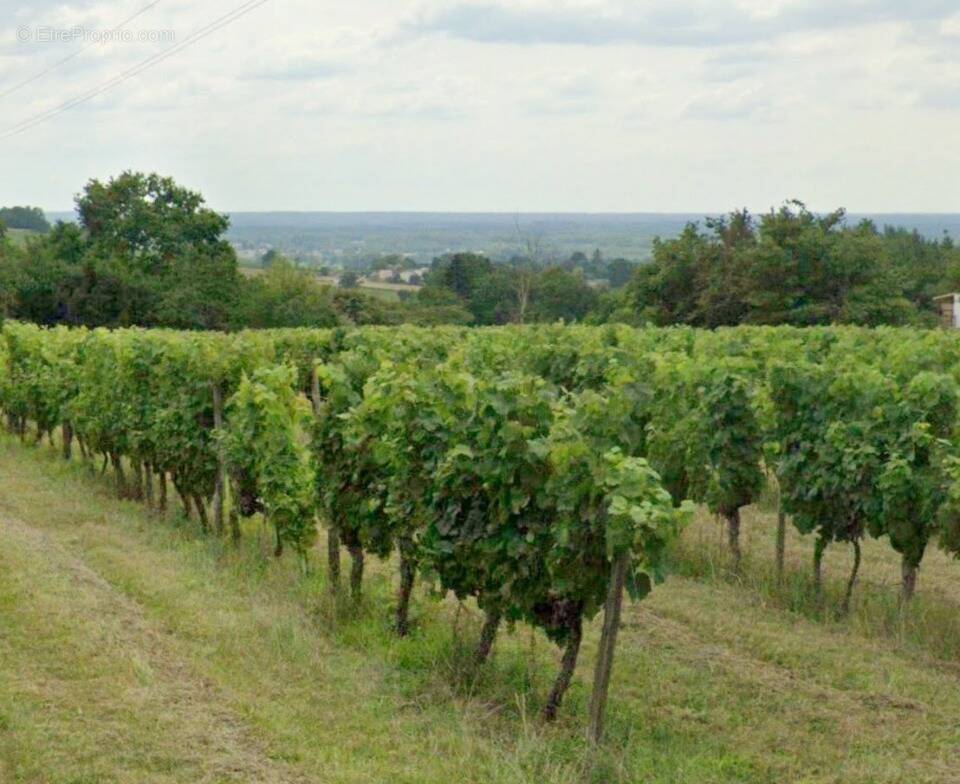 Terrain à VILLENAVE-DE-RIONS
