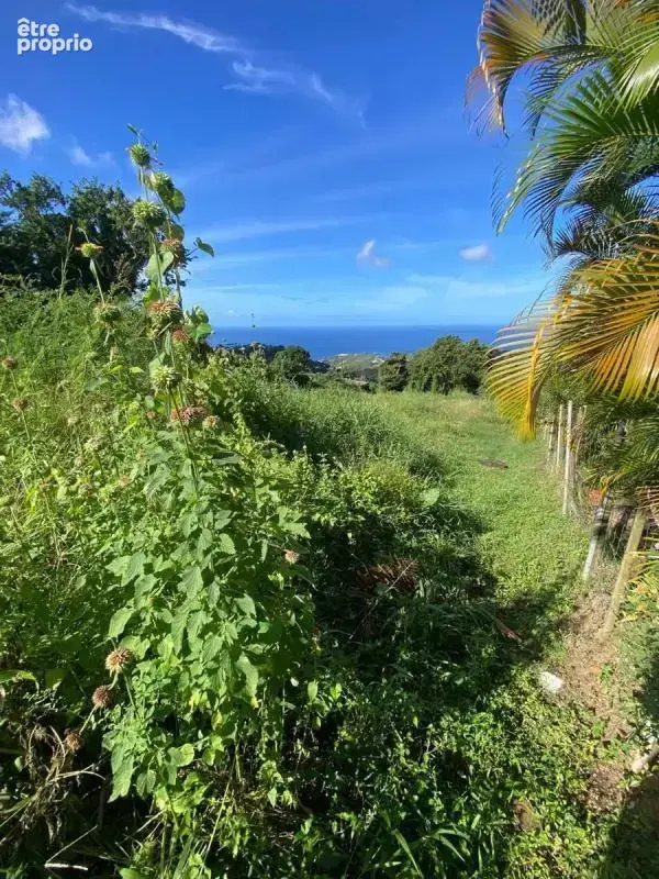 Terrain le morne vert - photo 8