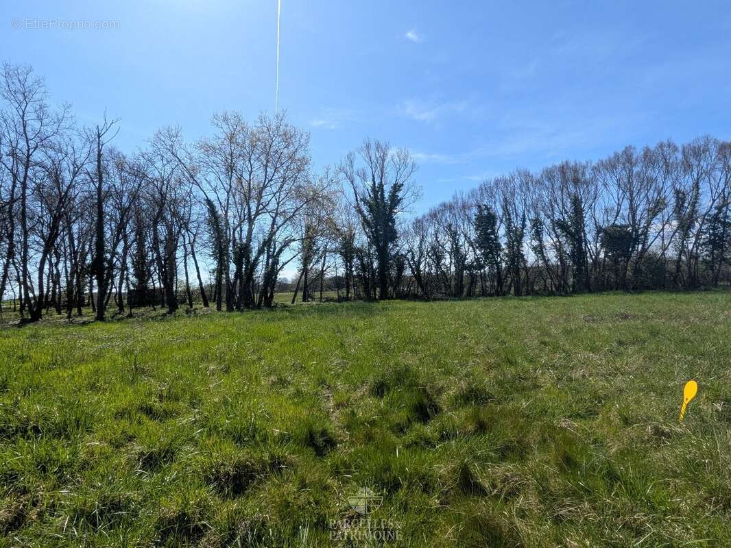 Terrain à MURET