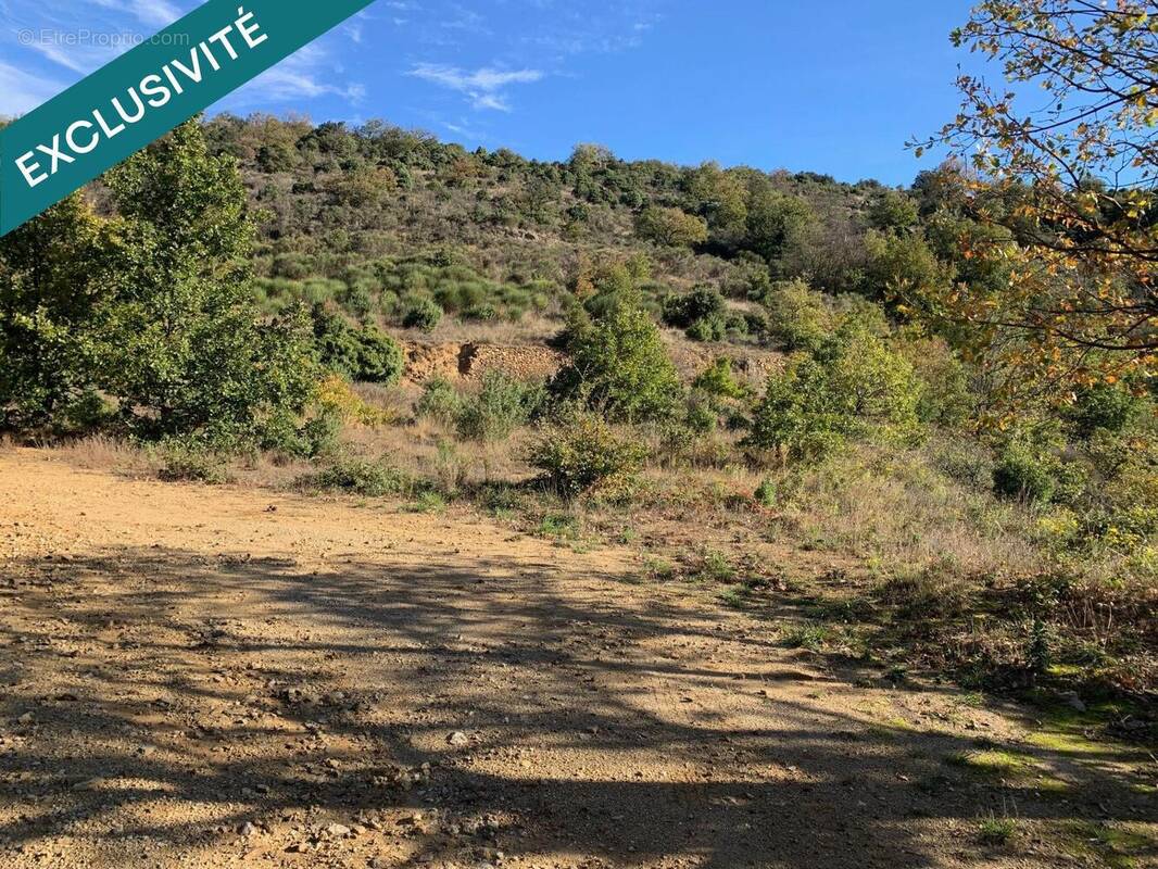 Photo 1 - Terrain à FELLUNS