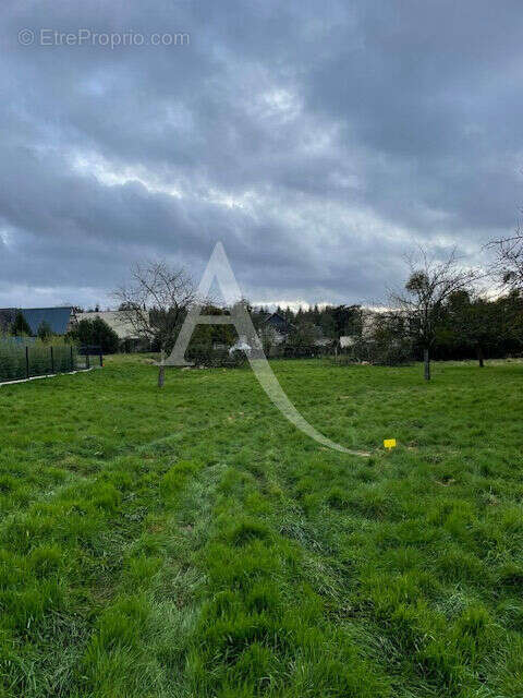 Terrain à MONTMAIN