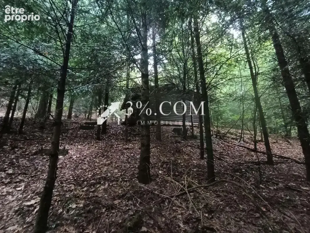 Terrain forestier avec étang sur la commune de Moyenmoutier - photo 2