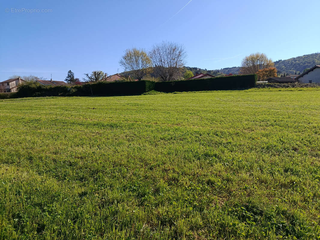 Terrain à JASSERON